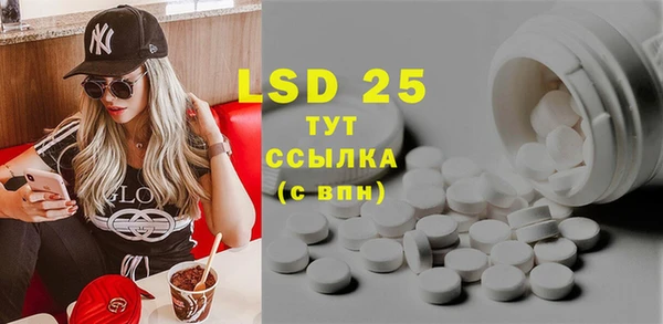 ПСИЛОЦИБИНОВЫЕ ГРИБЫ Алексин