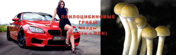 не бодяженный Абаза