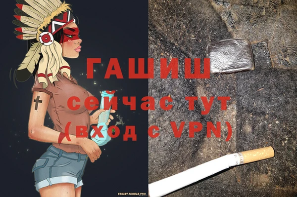 хмурый Алзамай