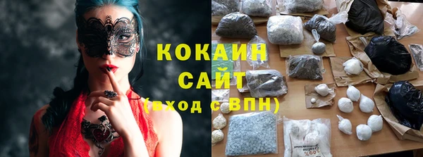 ПСИЛОЦИБИНОВЫЕ ГРИБЫ Алексин