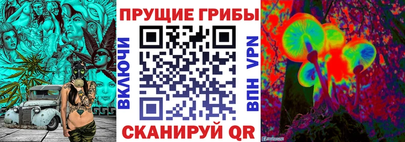 Галлюциногенные грибы GOLDEN TEACHER  Чкаловск 